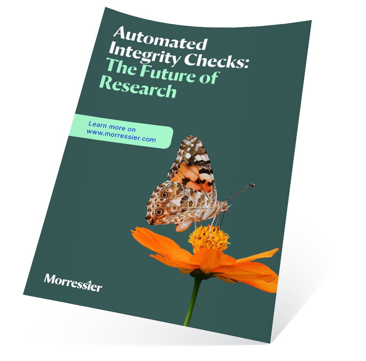 product-sheets-transparent-integretiy-checks